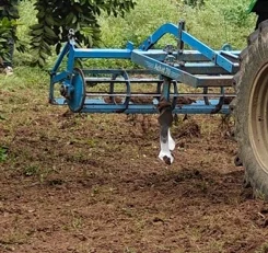 A blue tined implement in the equipment archive.